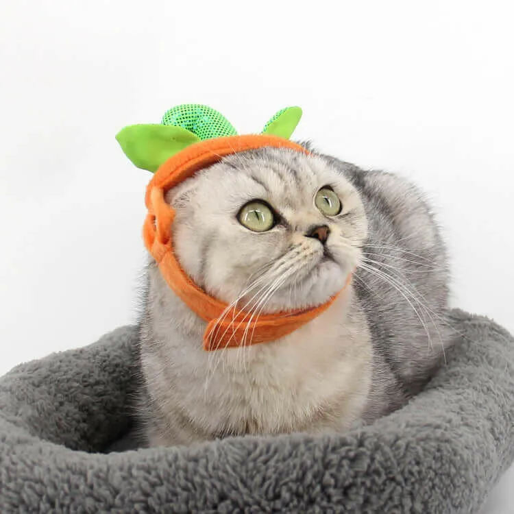 Halloween Pet Cats Costume Props Creative Pumpkin