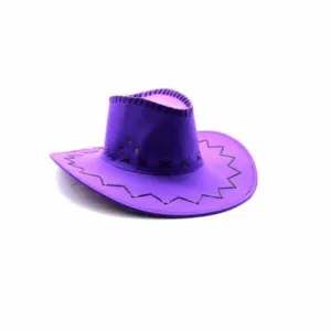 Purple Cowboy/Cowgirl Hat